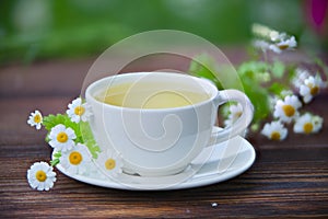 Porcelainl cup with green tea on table photo