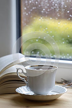 Porcelain cup with hot tea, soft blanket and open book by the window