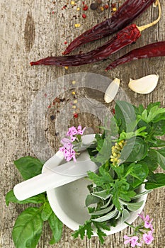 Porcelain mortar and pestle with fresh herbs