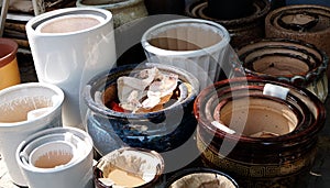 Porcelain pots in rows photo