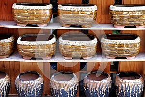 Porcelain pots in rows photo