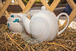 Porcelain teapot and cups with oriental ornaments stand on bales of hay against the background of the wall of the nomads` dwellin