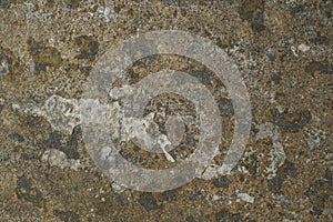 Porcelain wall tile texture