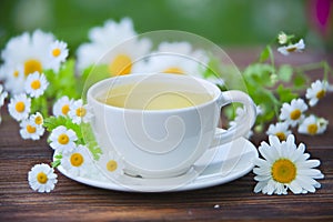 Porcelainl cup with green tea on table