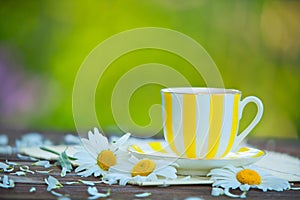 Porcelainl cup with green tea on table