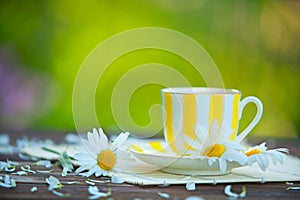 Porcelainl cup with green tea on table