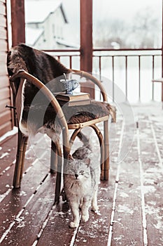 Porch of log cabine with snow