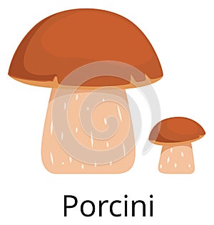 Porchini mushroom icon. Forest nature. Edible fungus