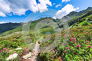 Porcile lakes in the brembana valley on the Orobie Alps