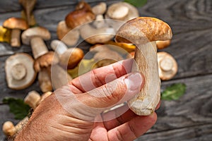 Porcini in male hand close up and fresh harvest of porcini mushrooms on table at the background photo