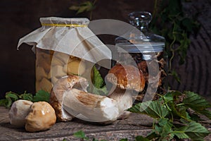 Porcini mushroom commonly known as Boletus Edulis, glass jar with canned mushrooms and glass jar with dry mushrooms on vintage