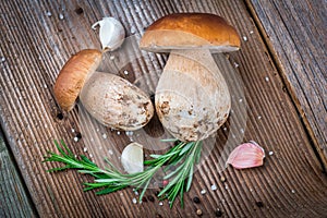 Porcini Mushroom with Garlic and Rosemary photo