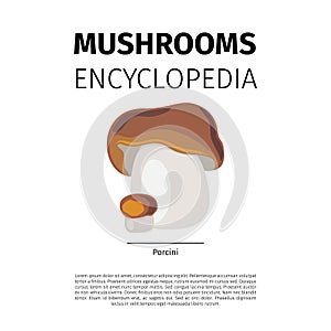 Porcini mushroom illustration