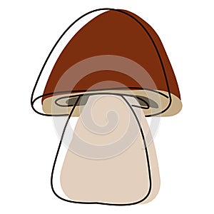 Porcini mushroom in outline. Edible Organic mushrooms. Truffle brown cap. Forest wild mushrooms types