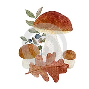 Porcini mushroom with a snail, blueberry and oak leaf watercolor composition isolated on white