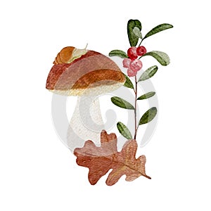 Porcini mushroom with a snail, cowberry and oak leaf watercolor composition isolated on white