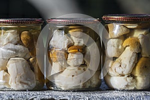 Porcini mushrooms canned in a glass jar for sale at the local market, Western Ukraine, close up