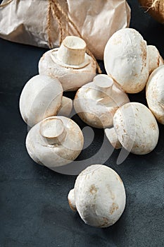 Porcini mushrooms. Copy space, close-up, photo for a grocery store