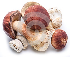 Porcini mushrooms isolated on a white.