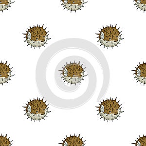 Porcupine fish icon in cartoon style isolated on white background.