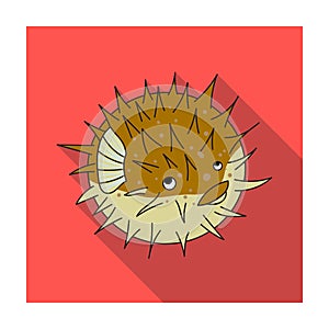 Porcupine fish icon in flat style isolated on white background. Sea animals symbol stock vector illustration.