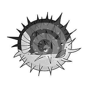 Porcupine fish icon in monochrome style isolated on white background. Sea animals symbol stock vector illustration.