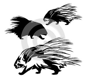 Porcupine outline and black vector silhouette design photo