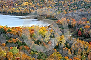 Porcupine wilderness park