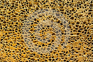 The pores of gold-colored metal in macro photography