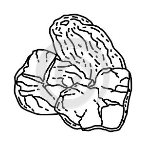 Poria Mushrooms Icon. Doodle Hand Drawn or Outline Icon Style