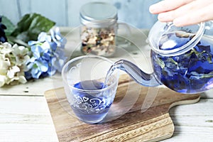 Poring bright blue butterfly pea flower herb tea to glass from a glass teapot