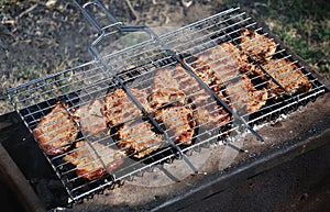 Pork on the bar-b-que grill