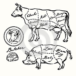 Pork and beef cuts