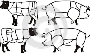 Pork & beef diagrams
