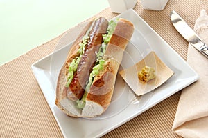 Pork And Cabbage Hot Dog