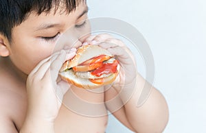 Pork cheese Hamburger in obese fat boy hand