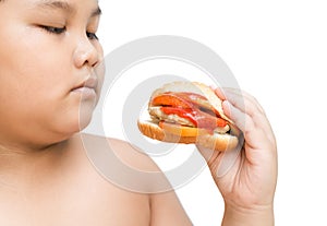 Pork cheese Hamburger in obese fat boy hand isolated