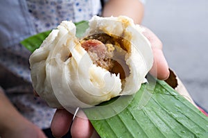 Pork Chinese Bun in Hand