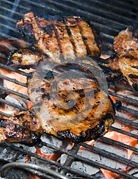 Pork chops on the barbecue grill