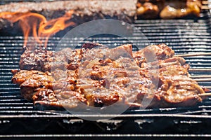 Pork Chops on a BBQ