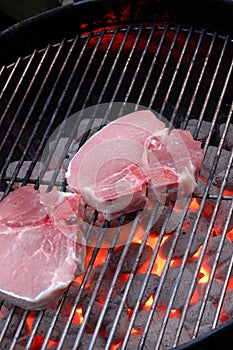 Pork chops on grill