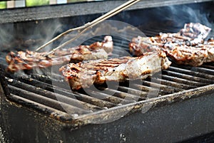 Pork Chops on Grill