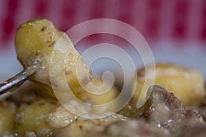 Pork and cider stew (Porc Normand) with gnocci