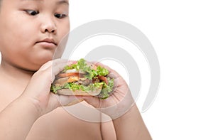 Pork hamburger on obese fat boy hand background isolated