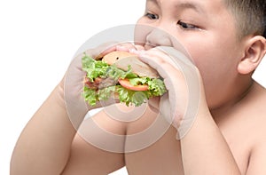 Pork hamburger on obese fat boy hand background isolated