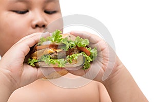 Pork hamburger on obese fat boy hand background isolated