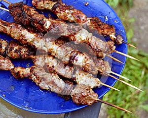 Pork kebab