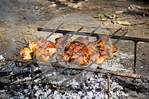 Pork Kebab Shashlik Skewers Barbecue on picnic