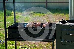 Pork kebab on skewers, grilled on coals, raw meat, six skewers with meat