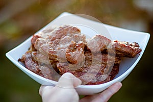 Pork meat on grill, family party, closeup